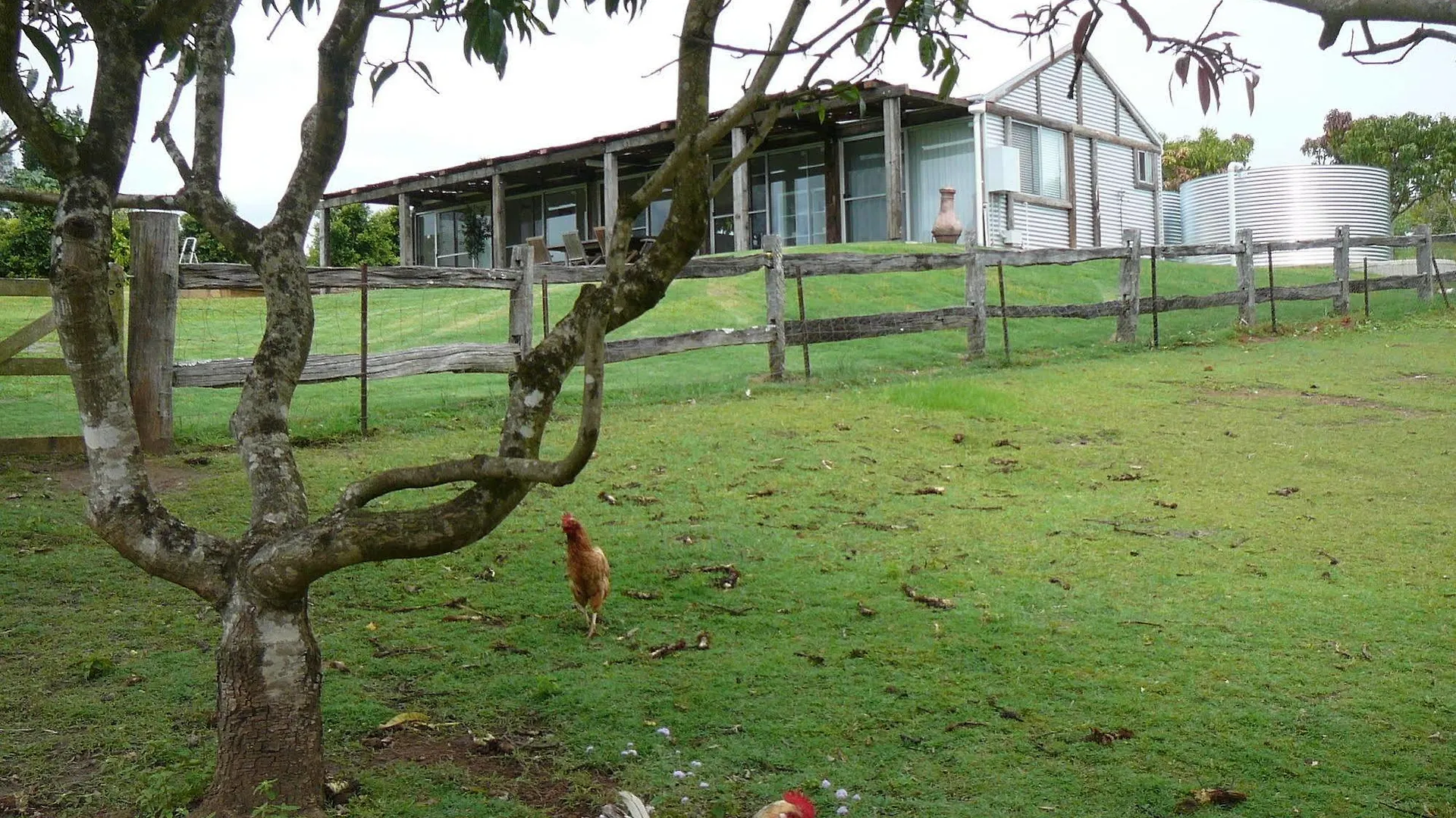 Hotel Mango Hill Farm Peachester 4*,  Australia